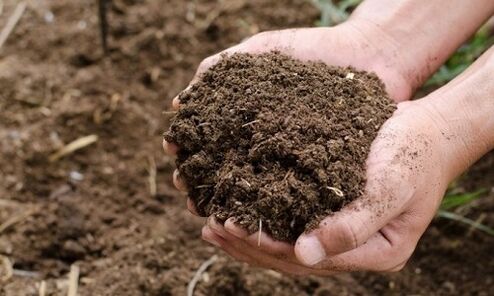 土壤是人类寄生虫感染的来源